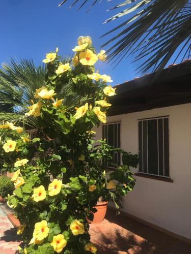  Casa Barbieri apt 5 in Mandaradoni