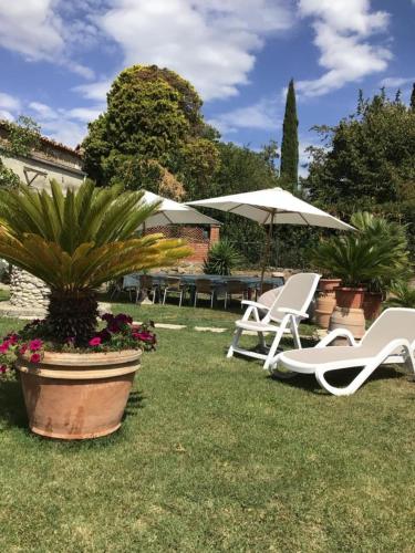  Le Case di Titti 6, Ferienwohnung in Poggio Murella