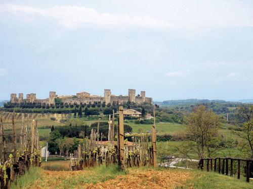 Apartment Fattoria Petraglia - Padronale by Interhome