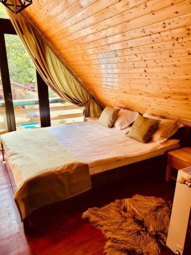River House Transylvania in Muntele Băişorii