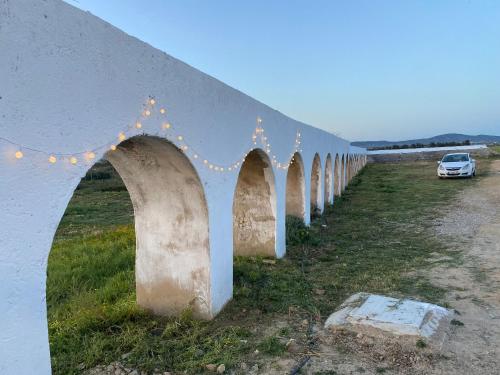 Herdade dos Salgados do Fialho - image 2