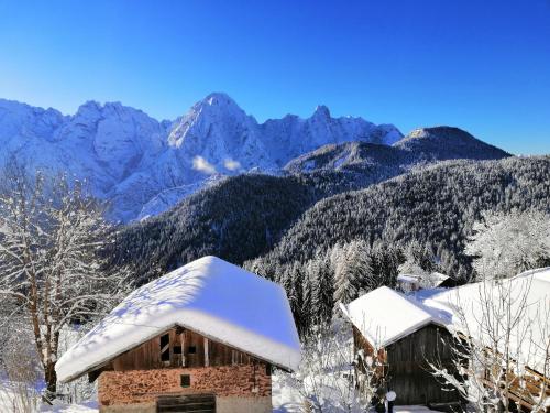 Casa vacanze da Olga in Danta