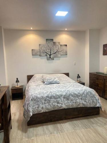 Cozy Suite Cuenca