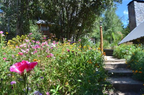 ABEDULES CABAÑAS PEHUENIA