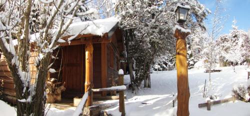 ABEDULES CABAÑAS PEHUENIA (ABEDULES CABANAS PEHUENIA) in 비야 페우에니아