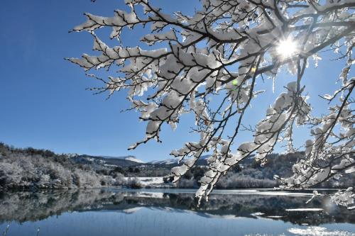 ABEDULES CABAÑAS PEHUENIA (ABEDULES CABANAS PEHUENIA) in 비야 페우에니아