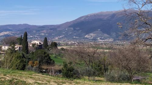  Bilocale panoramico a Spoleto (con ampio giardino) in Spoleto