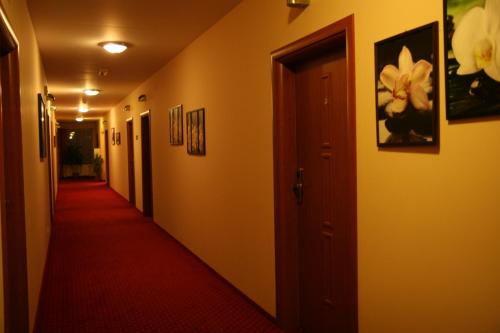 Hotel Karolinka - image 9