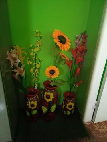 Hospedaje Luque Hospedaje Luque