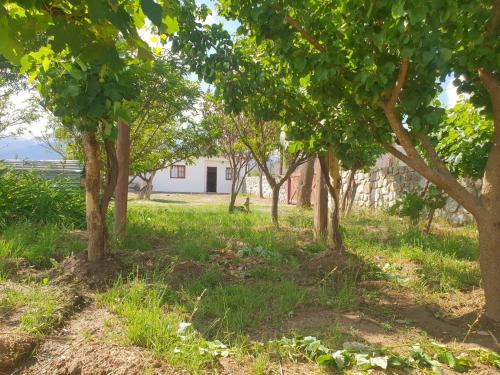 Dārzs, Lo de Valentino Cabañas (Lo de Valentino Cabanas) in Cachi Adentro