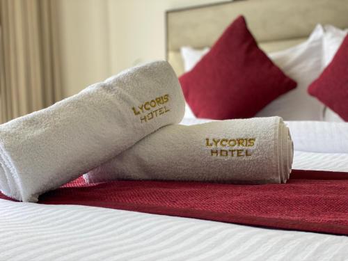 "Hotel The Lycoris" Near Bus Stand ZIRAKPUR on AMBALA HIGHWAY