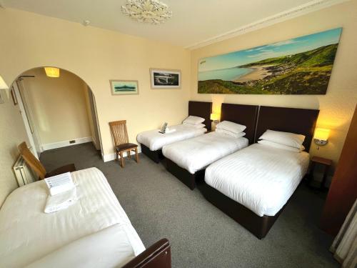 Buccleuch Arms Hotel - image 8