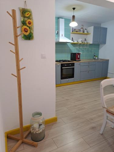 virtuve, Agropensiune Caban in Jurilovca