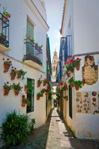 Casa Juanma, Córdoba (photo 6)