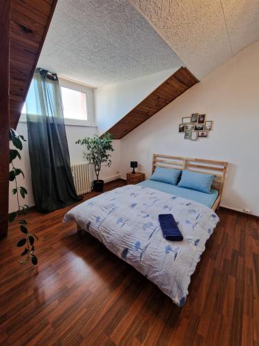 Nice room 4 minutes from Basel shared apartment