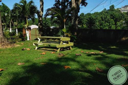 Areca Palms in Drapers