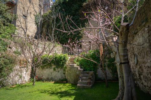 Casa Vayu - Rooms & Garden 2