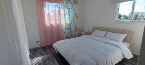 Zinas modern flat Nicosia