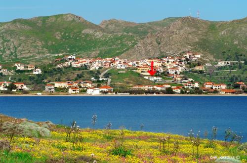 Panorama Plati - image 10