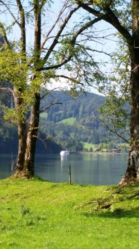 Aparthotel Alpenpark - image 12