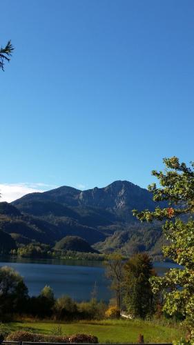 Aparthotel Alpenpark - image 13