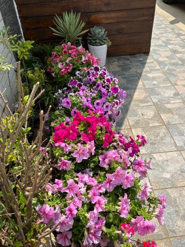 Penghu Pincheng B&B - 전망