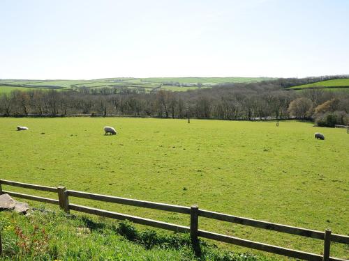 Swallow Barn - main image
