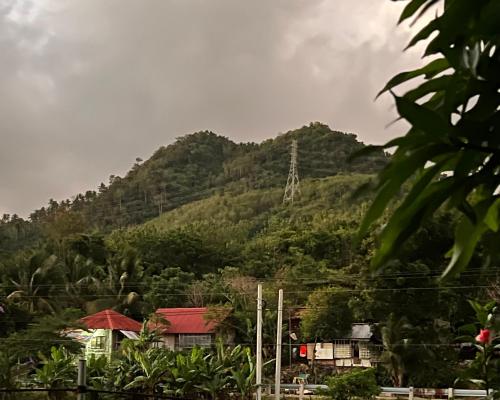 Masaling Garden house in Cauayan  (Negros Occidental)