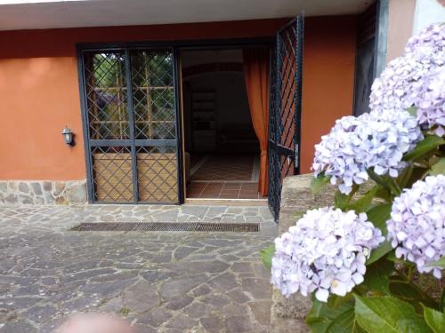  la tana nel bosco, 82015 Durazzano