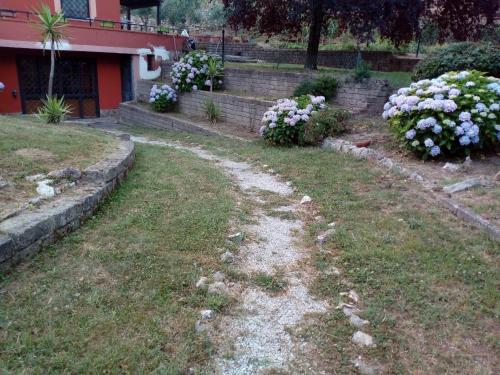 la tana nel bosco 3