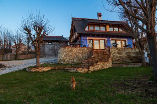 Casele cu Stuf B&B Haus Ulrike