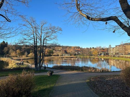 App 507 Bocksbergblick im Ferienpark Hahnenklee Haus 1