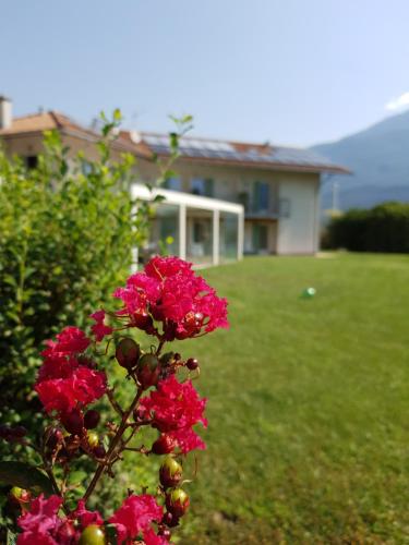 Agriturismo Locanda de l'Arguta - image 14