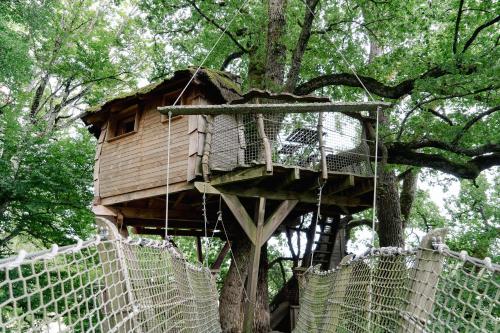 Cabane Perchée dans les Arbres