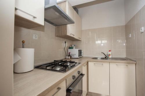 Apartment with Balcony image 10