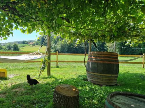 Turistična kmetija Hiša ob gozdu pri Ptuju