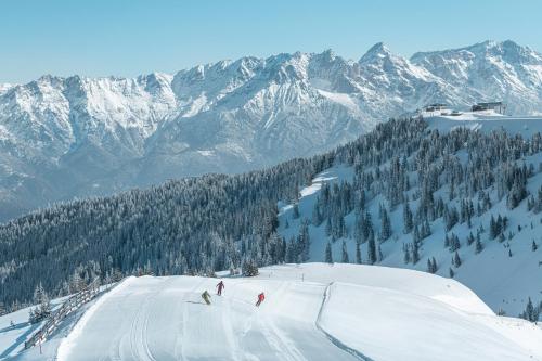 AlpenParks Chalet & Apartment Steve Lodge Viehhofen