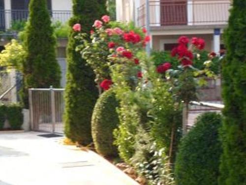 Studio apartment in Rogoznica with terrace, air conditioning, WiFi 5153-5, Rogoznica (photo 9)