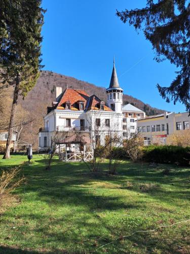 景观, Vila Micul Castel in 锡纳亚