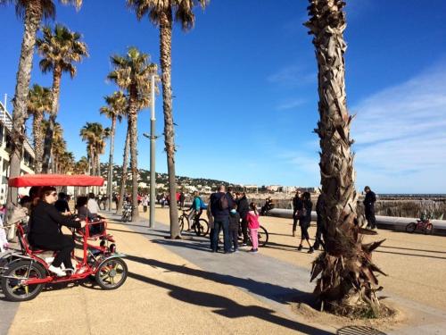 Appartement Sète 2 pièces 4 personnes - FR-1-338-358 - image 7