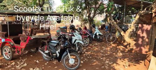 Tree Trails Homestay & Offers Jungle Trekk-Scooter For Rental