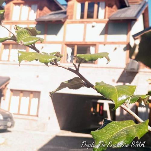 Hospedaje de Ensueño SMA (Hospedaje de Ensueno SMA) in 산 마르틴 데 로스 안데스