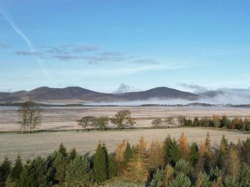 East Kip - Dog Friendly