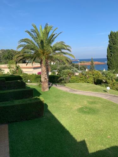 Garden, Appartement vue mer domaine arbore in La Baumette