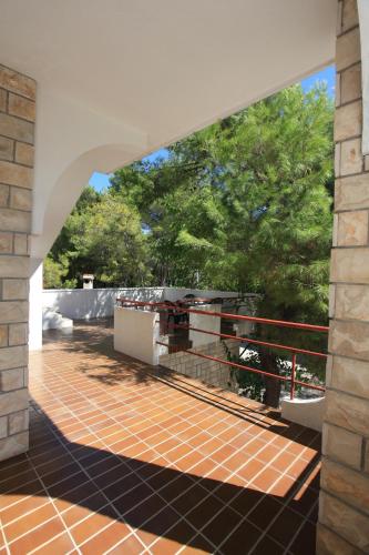 Apartments Pinus - main image