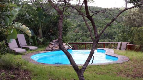 Swimming pool, Inkwenkwezi Private Game Reserve in Amatola Coastal