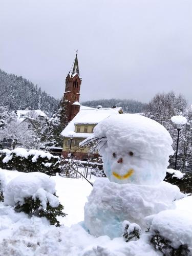 Ferienwohnung, Sauna & Gästekarte gratis im Schwarzwald