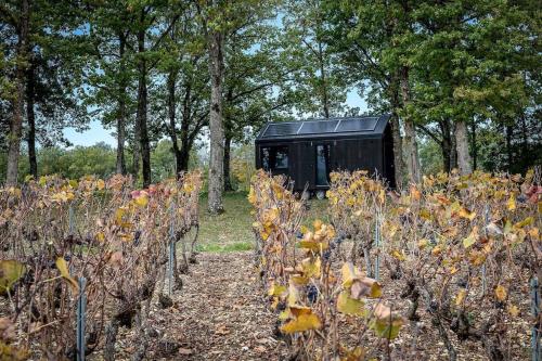 L'Envolée Ecolodge, tiny house au coeur des vignes