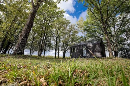 L'Envolée Ecolodge, tiny house au coeur des vignes