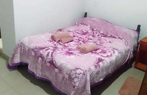 One-Bedroom Apartment image 2